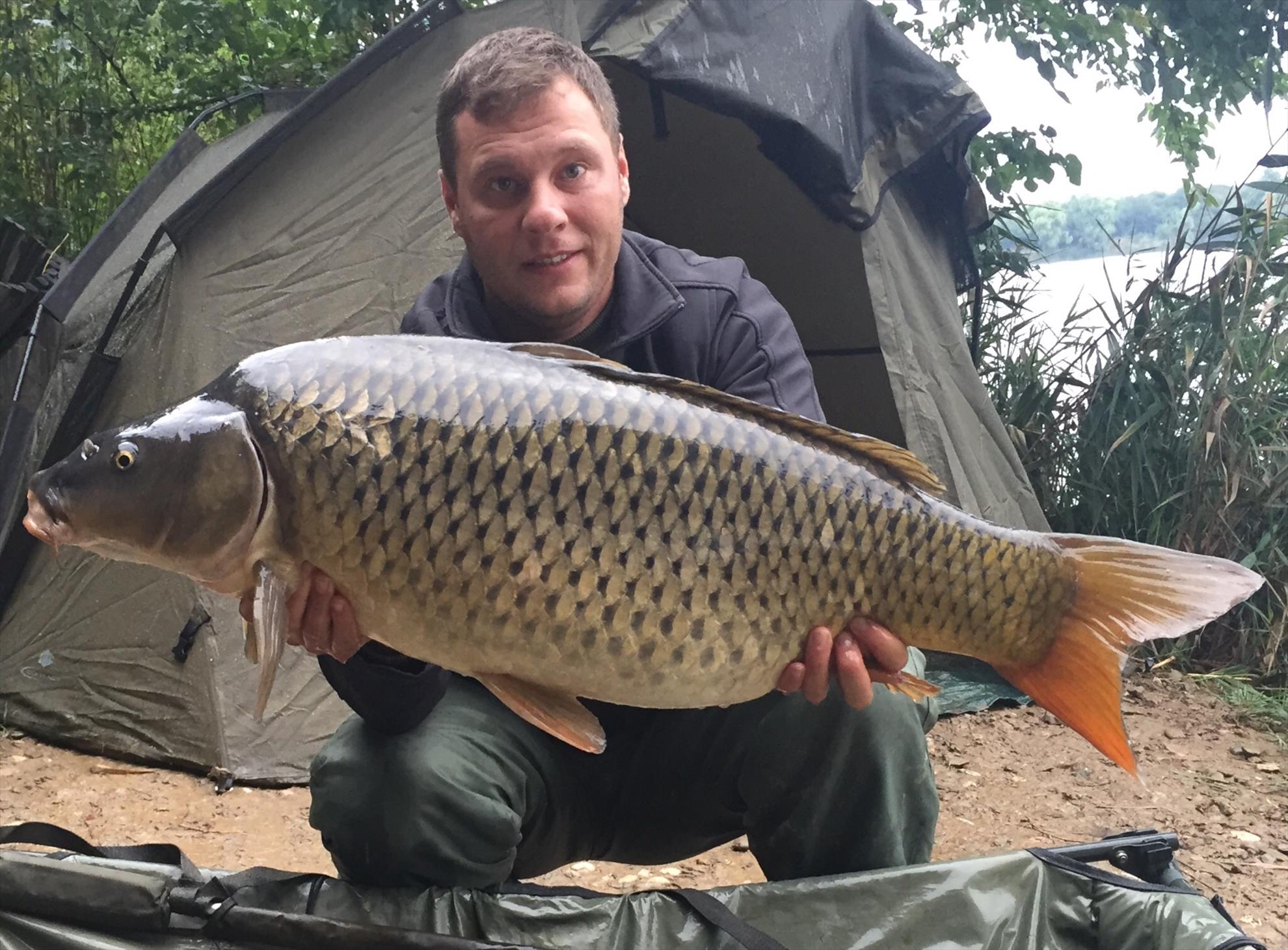 Tancabesti 2015 - image.jpg